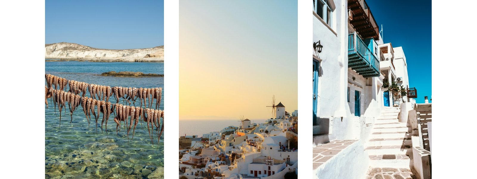 plousconcierge collage elysian